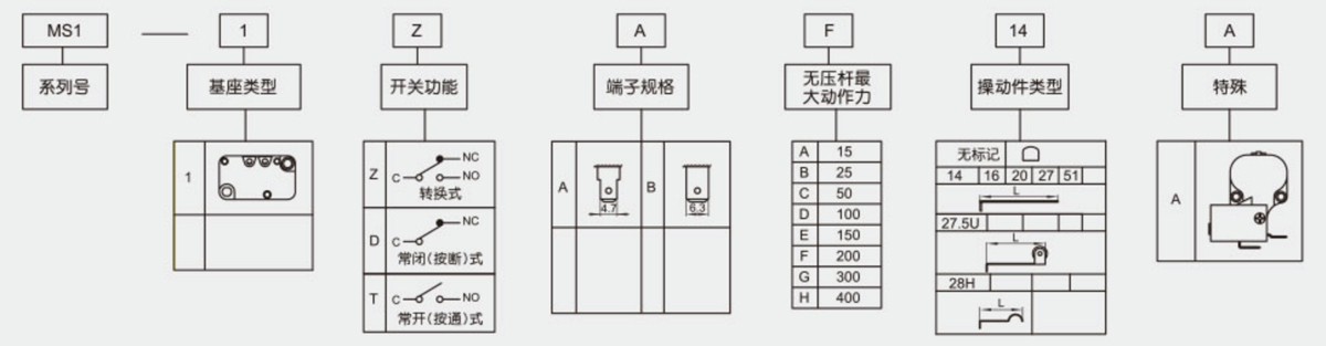 2025030711791757.jpg MS.jpg